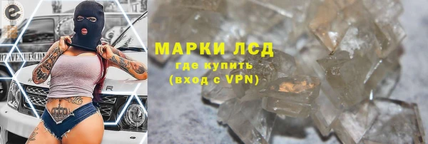 ПСИЛОЦИБИНОВЫЕ ГРИБЫ Гусев