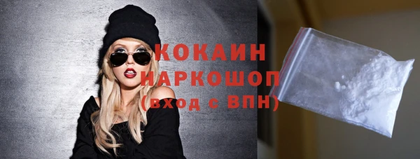 ПСИЛОЦИБИНОВЫЕ ГРИБЫ Гусев