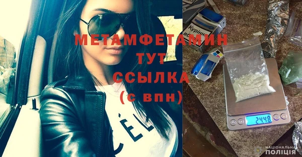 ПСИЛОЦИБИНОВЫЕ ГРИБЫ Гусев