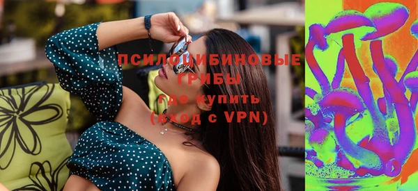 ПСИЛОЦИБИНОВЫЕ ГРИБЫ Гусев