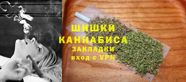 ПСИЛОЦИБИНОВЫЕ ГРИБЫ Гусев