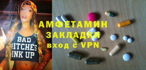 ПСИЛОЦИБИНОВЫЕ ГРИБЫ Гусев