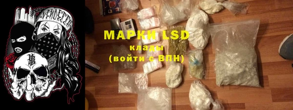 ПСИЛОЦИБИНОВЫЕ ГРИБЫ Гусев